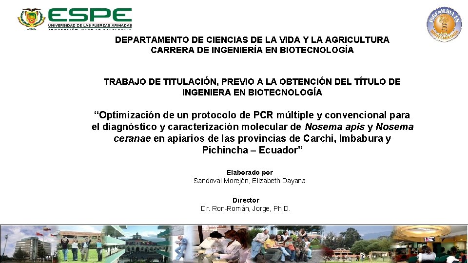 DEPARTAMENTO DE CIENCIAS DE LA VIDA Y LA AGRICULTURA CARRERA DE INGENIERÍA EN BIOTECNOLOGÍA