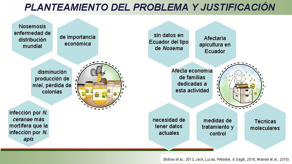 PLANTEAMIENTO DEL PROBLEMA Y JUSTIFICACIÓN Nosemosis enfermedad de distribución mundial de importancia económica disminución