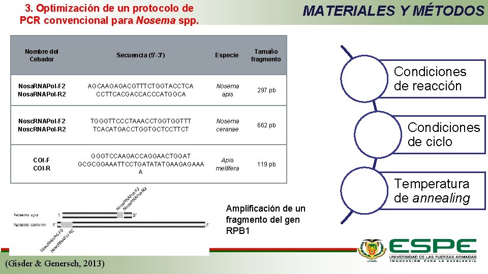 3. Optimización de un protocolo de PCR convencional para Nosema spp. Nombre del Cebador