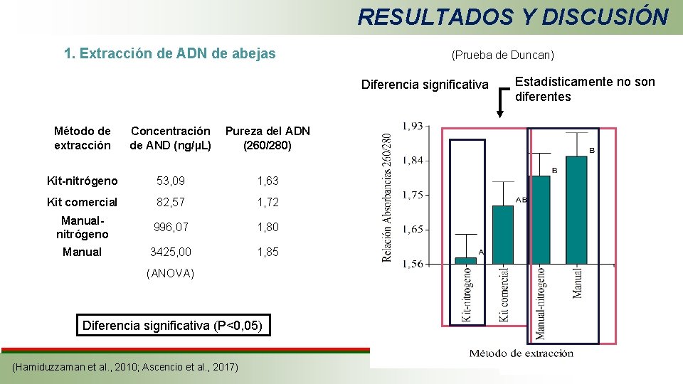 RESULTADOS Y DISCUSIÓN 1. Extracción de ADN de abejas (Prueba de Duncan) Diferencia significativa