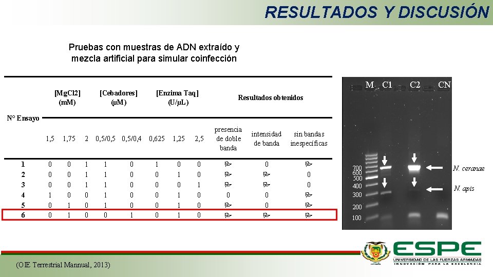 RESULTADOS Y DISCUSIÓN Pruebas con muestras de ADN extraído y mezcla artificial para simular