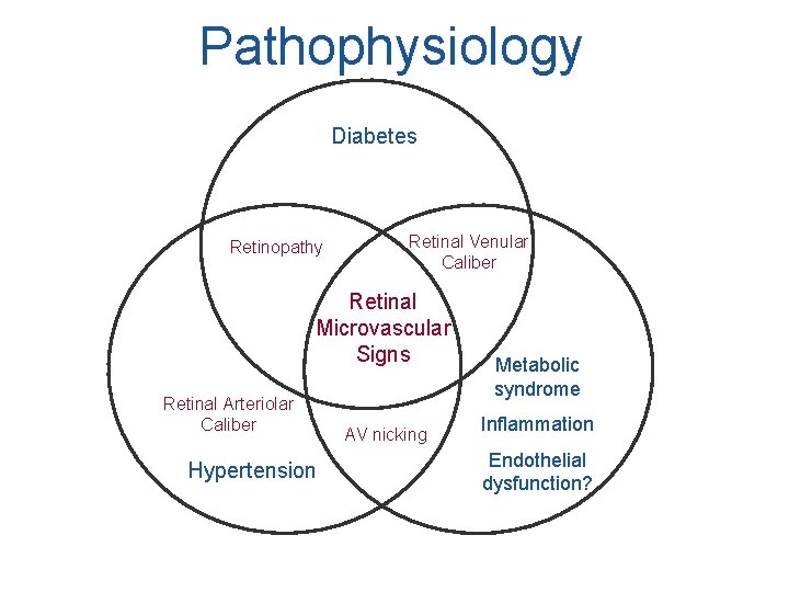 Pathophysiology Diabetes Retinopathy Retinal Venular Caliber Retinal Microvascular Signs Retinal Arteriolar Caliber Hypertension AV