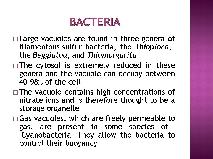 BACTERIA � Large vacuoles are found in three genera of filamentous sulfur bacteria, the