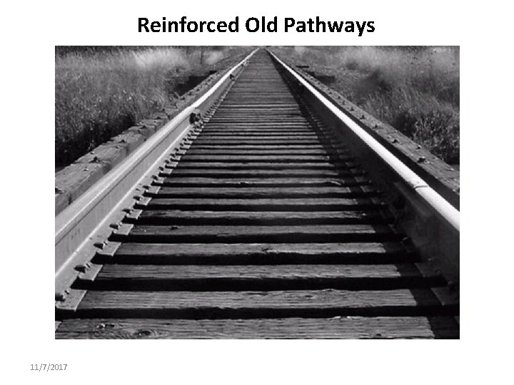 Reinforced Old Pathways 11/7/2017 