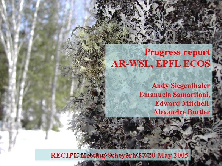 Progress report AR-WSL, EPFL ECOS Andy Siegenthaler Emanuela Samaritani, Edward Mitchell, Alexandre Buttler RECIPE