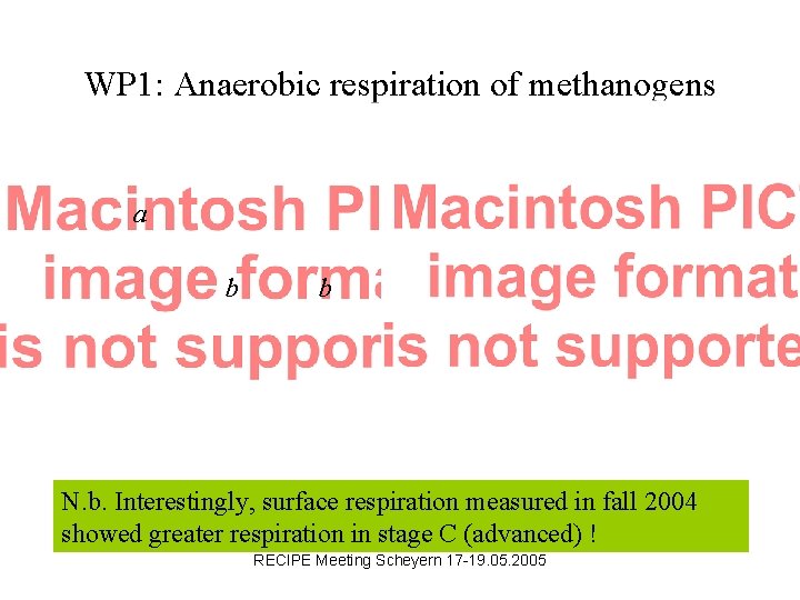 WP 1: Anaerobic respiration of methanogens Chaux-d’Abel a b b N. b. Interestingly, surface