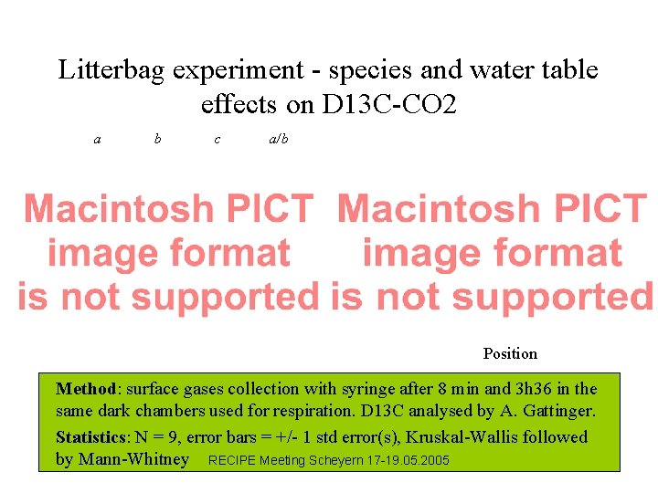 Litterbag experiment - species and water table effects on D 13 C-CO 2 a