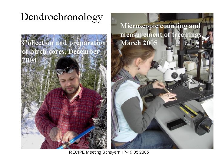 Dendrochronology Collection and preparation of birch cores, December 2004 Microscopic counting and measurement of