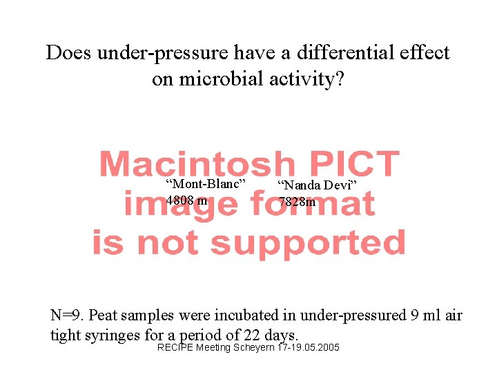 Does under-pressure have a differential effect on microbial activity? “Mont-Blanc” 4808 m “Nanda Devi”