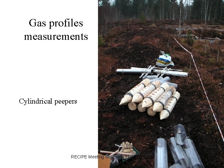 Gas profiles measurements Cylindrical peepers RECIPE Meeting Scheyern 17 -19. 05. 2005 