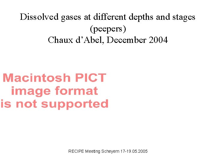 Dissolved gases at different depths and stages (peepers) Chaux d’Abel, December 2004 RECIPE Meeting