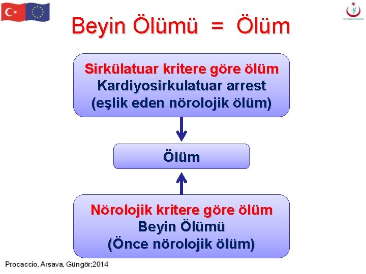 Beyin Ölümü = Ölüm Sirkülatuar kritere göre ölüm Kardiyosirkulatuar arrest (eşlik eden nörolojik ölüm) Beyin Ölümü = Ölüm Sirkülatuar kritere göre ölüm Kardiyosirkulatuar arrest (eşlik eden nörolojik ölüm)