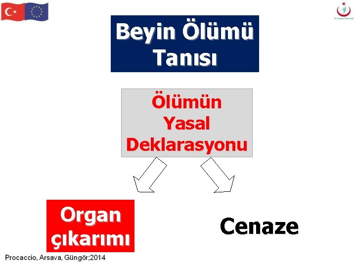 Beyin Ölümü Tanısı Ölümün Yasal Deklarasyonu Organ çıkarımı Cenaze Beyin Ölümü Tanısı Ölümün Yasal Deklarasyonu Organ çıkarımı Cenaze