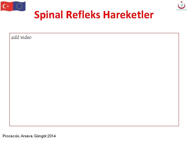 Spinal Refleks Hareketler add video Spinal Refleks Hareketler add video
