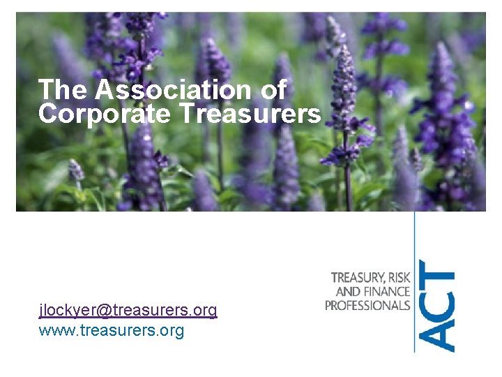 The Association of Corporate Treasurers jlockyer@treasurers. org www. treasurers. org 