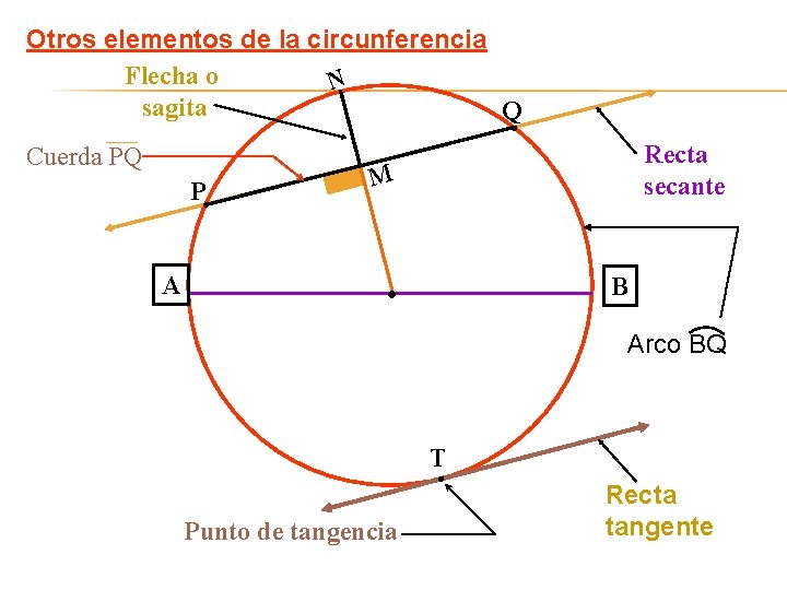 Otros elementos de la circunferencia Flecha o N sagita Q Cuerda PQ P Recta