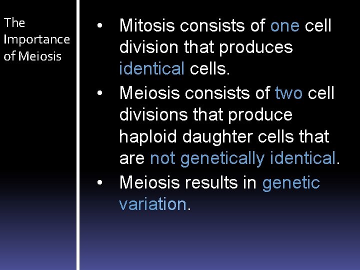The Importance of Meiosis • Mitosis consists of one cell division that produces identical