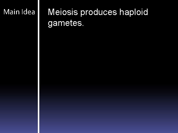 Main Idea Meiosis produces haploid gametes. 