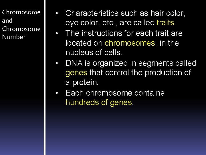 Chromosome and Chromosome Number • Characteristics such as hair color, eye color, etc. ,