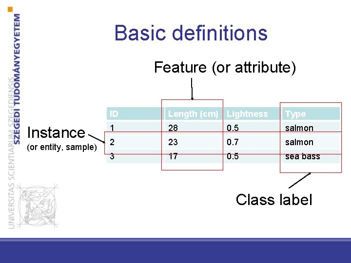 Basic definitions Feature (or attribute) Instance (or entity, sample) ID Length (cm) Lightness Type