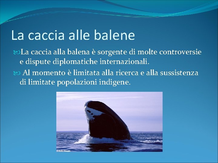 La caccia alle balene La caccia alla balena è sorgente di molte controversie e