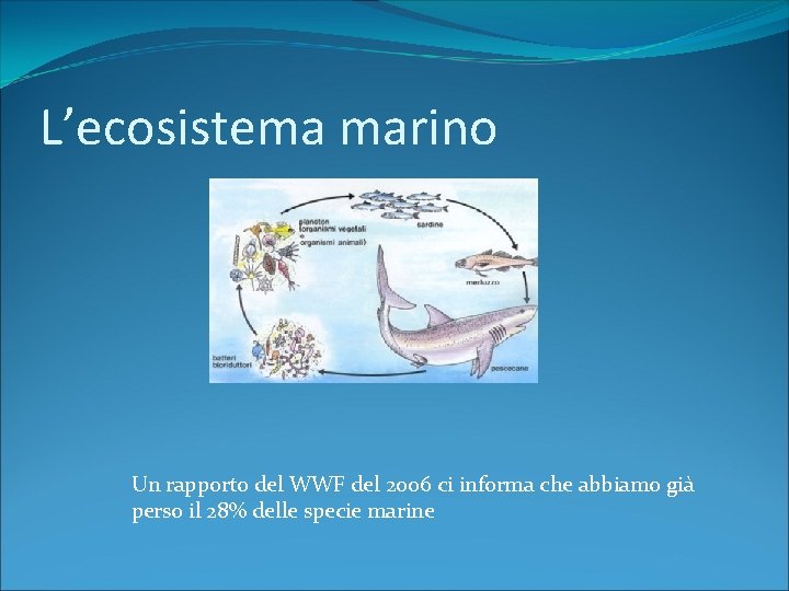 L’ecosistema marino Un rapporto del WWF del 2006 ci informa che abbiamo già perso