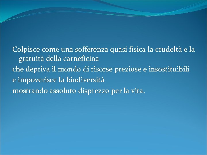 Colpisce come una sofferenza quasi fisica la crudeltà e la gratuità della carneficina che