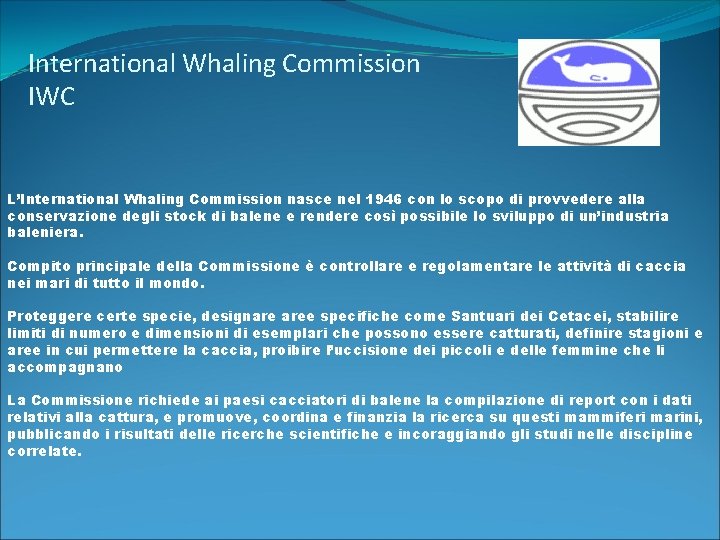 International Whaling Commission IWC L’International Whaling Commission nasce nel 1946 con lo scopo di