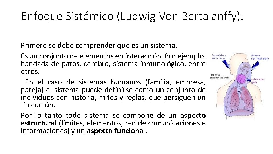 Enfoque Sistémico (Ludwig Von Bertalanffy): Primero se debe comprender que es un sistema. Es