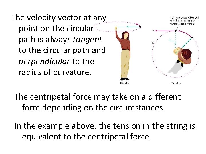 The velocity vector at any point on the circular path is always tangent to