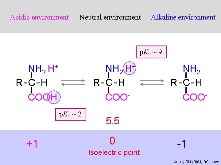 Acidic environment Neutral environment Alkaline environment p. K 2 ~ 9 NH 2 H+