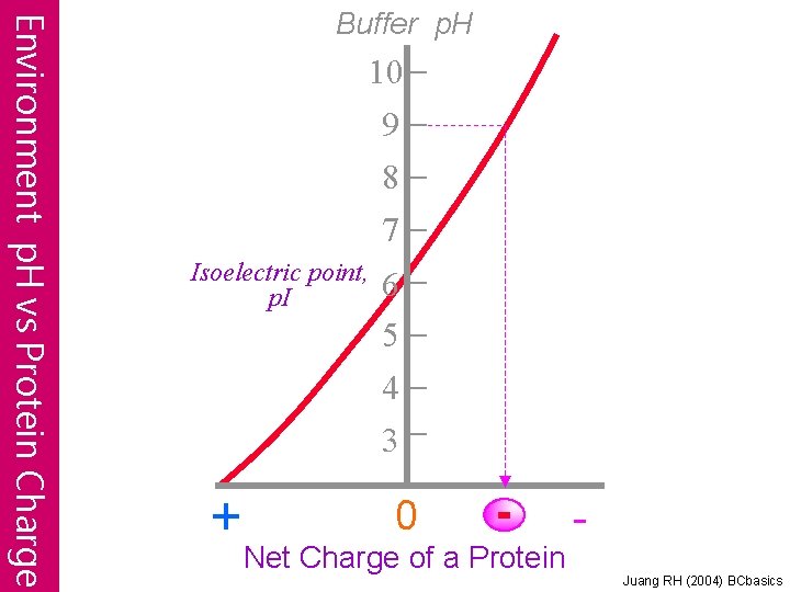Environment p. H vs Protein Charge Buffer p. H 10 9 8 7 Isoelectric