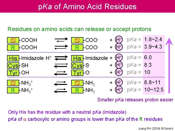 p. Ka of Amino Acid Residues on amino acids can release or accept protons