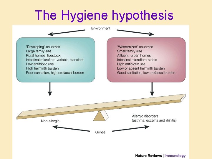 The Hygiene hypothesis 