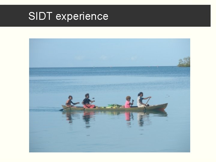 SIDT experience 