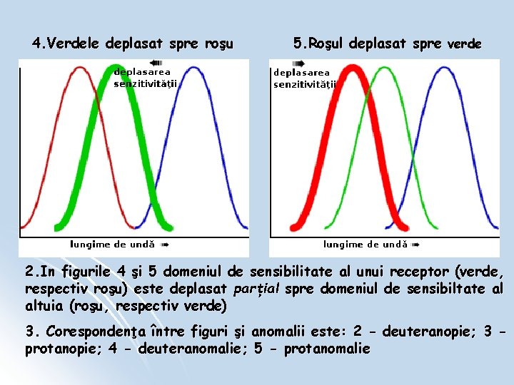 4. Verdele deplasat spre roşu 5. Roşul deplasat spre verde 2. In figurile 4