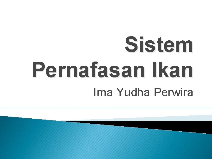 Sistem Pernafasan Ikan Ima Yudha Perwira 