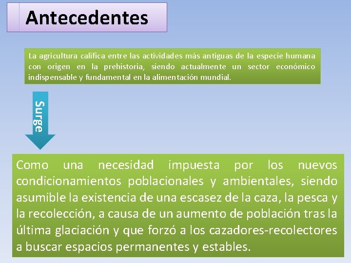 Antecedentes La agricultura califica entre las actividades más antiguas de la especie humana con