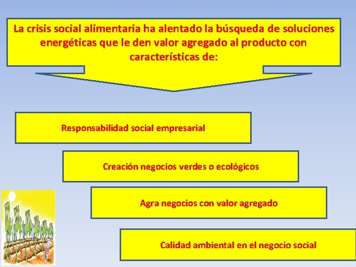 La crisis social alimentaria ha alentado la búsqueda de soluciones energéticas que le den