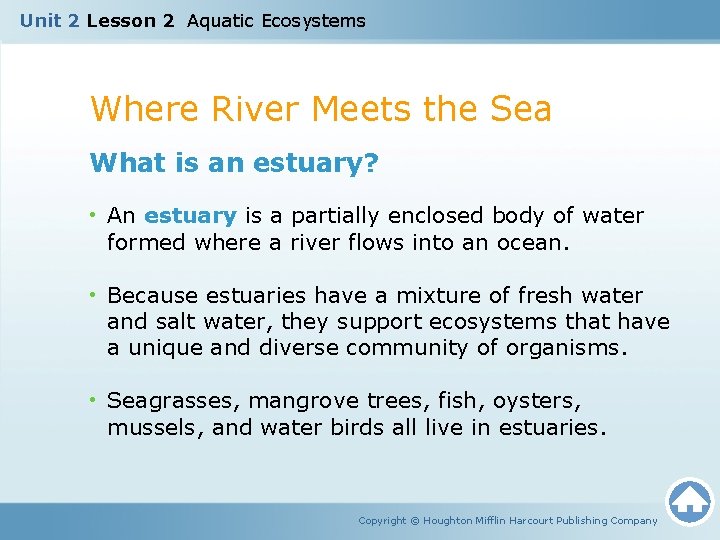Unit 2 Lesson 2 Aquatic Ecosystems Where River Meets the Sea What is an