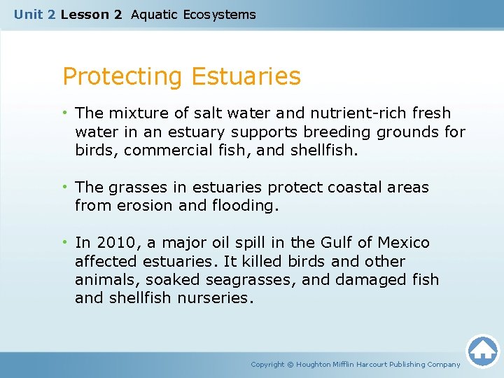 Unit 2 Lesson 2 Aquatic Ecosystems Protecting Estuaries • The mixture of salt water