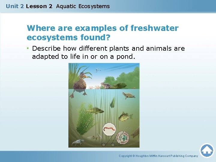 Unit 2 Lesson 2 Aquatic Ecosystems Where are examples of freshwater ecosystems found? •