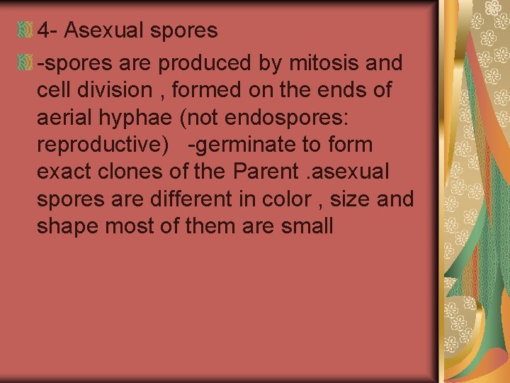 4 - Asexual spores -spores are produced by mitosis and cell division , formed