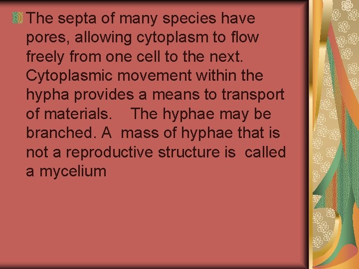 The septa of many species have pores, allowing cytoplasm to flow freely from one