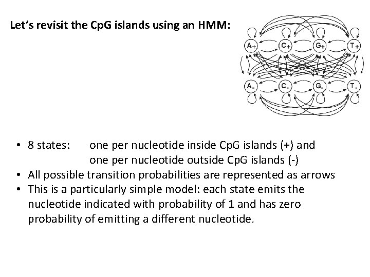 Let’s revisit the Cp. G islands using an HMM: • 8 states: one per