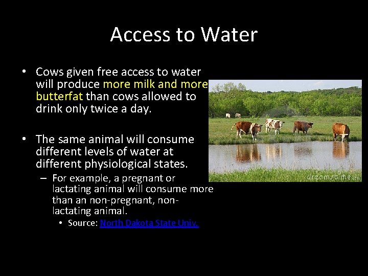 Access to Water • Cows given free access to water will produce more milk