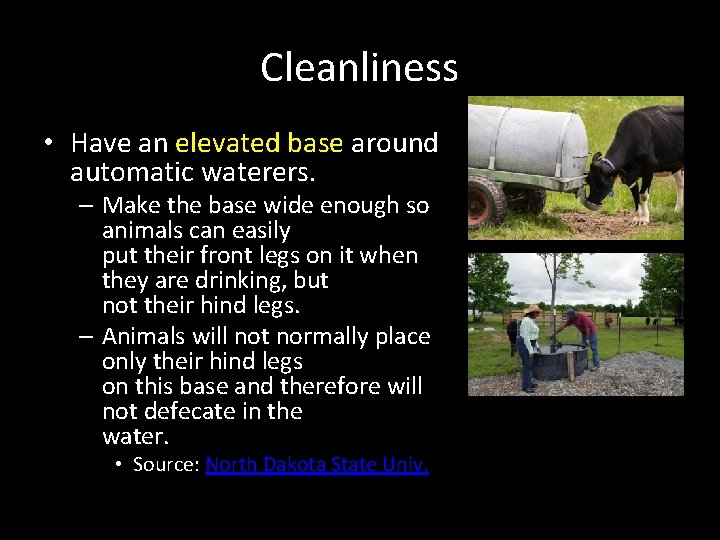 Cleanliness • Have an elevated base around automatic waterers. – Make the base wide