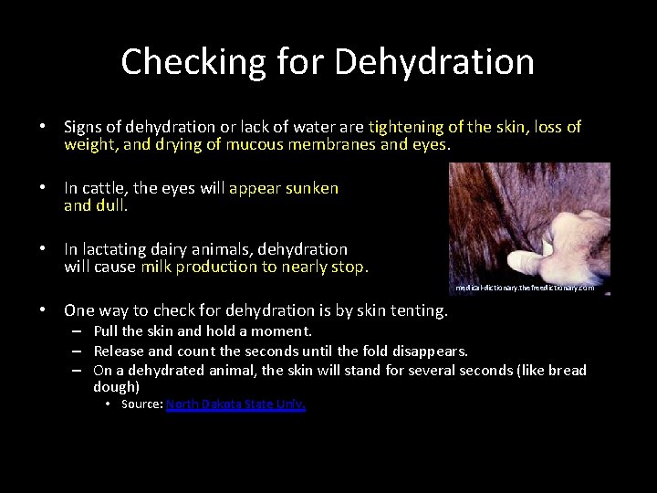 Checking for Dehydration • Signs of dehydration or lack of water are tightening of