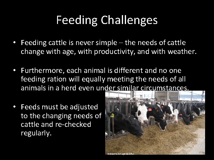 Feeding Challenges • Feeding cattle is never simple – the needs of cattle change