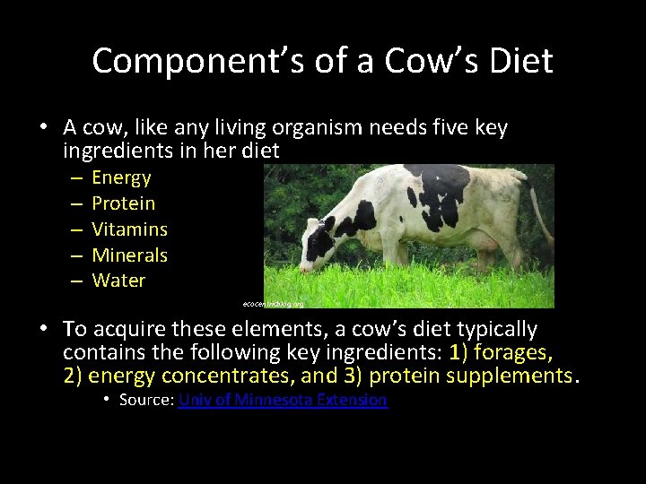 Component’s of a Cow’s Diet • A cow, like any living organism needs five